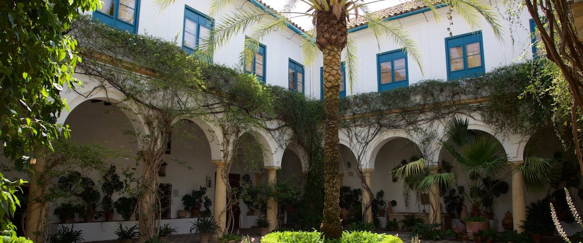 Marques de Viana Palace inclusief een plein