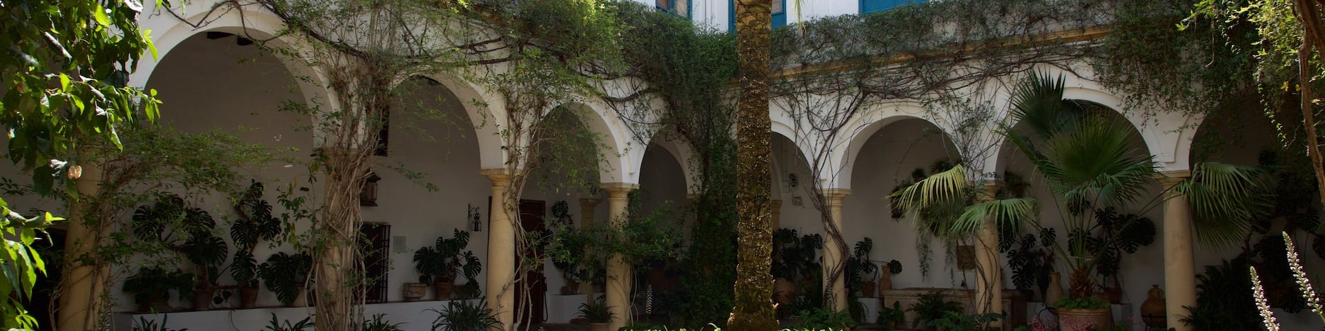 Marques de Viana Palace qui includes square ou place