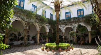 Marques de Viana Palace featuring a square or plaza