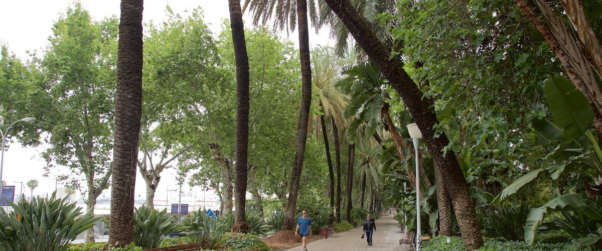 Tajo\'s Tree-Lined Avenue showing a park