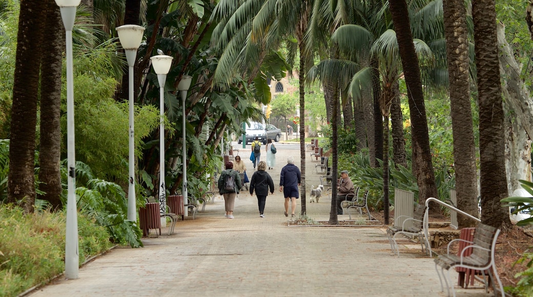 Paseo del Parque johon kuuluu puutarha sekä pieni ryhmä ihmisiä