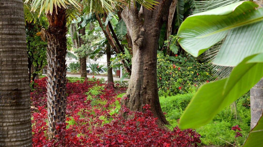 Alameda del Tajo ofreciendo un jardín