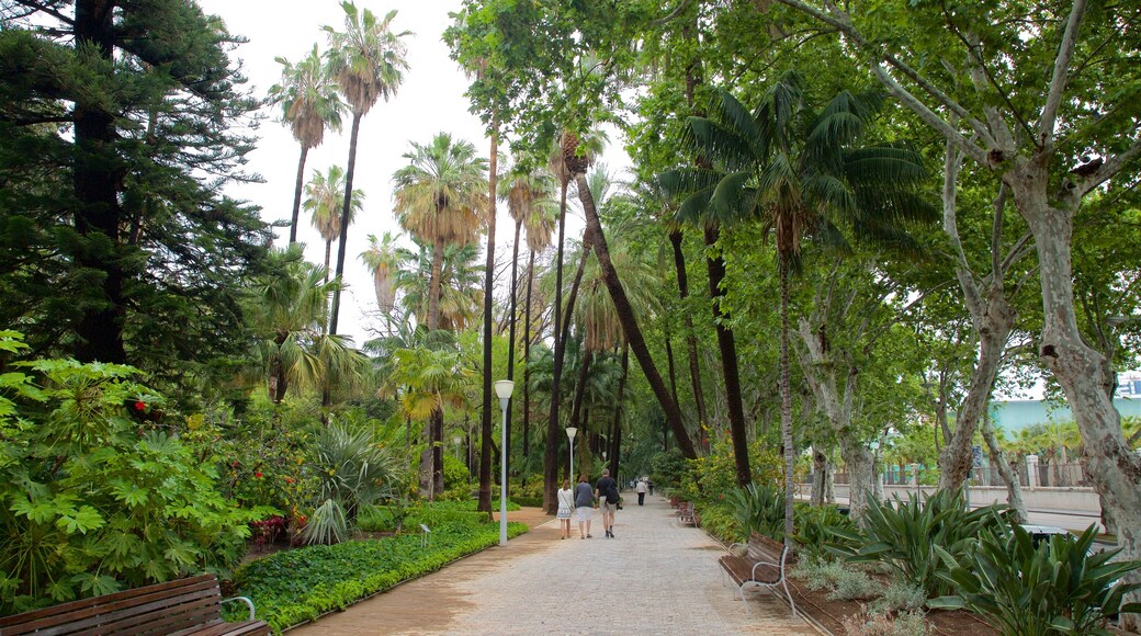 Alameda del Tajo que incluye un jardín