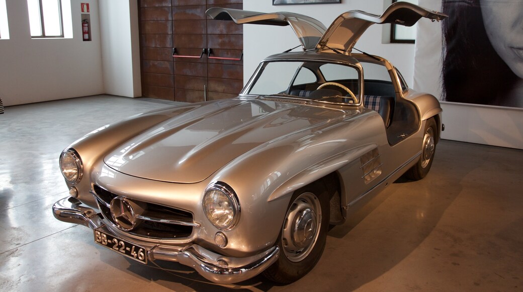 Museo Automovilístico y de la Moda