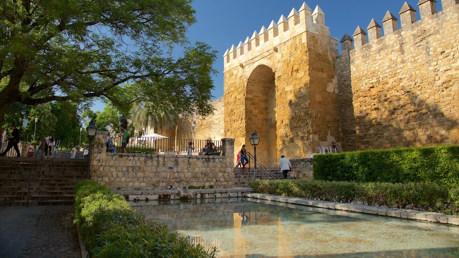 Córdoba mostrando un estanque y elementos del patrimonio