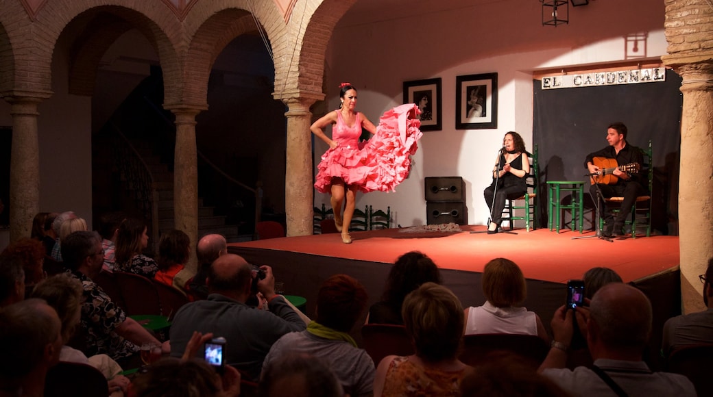 Cordoba showing performance art and interior views as well as a large group of people