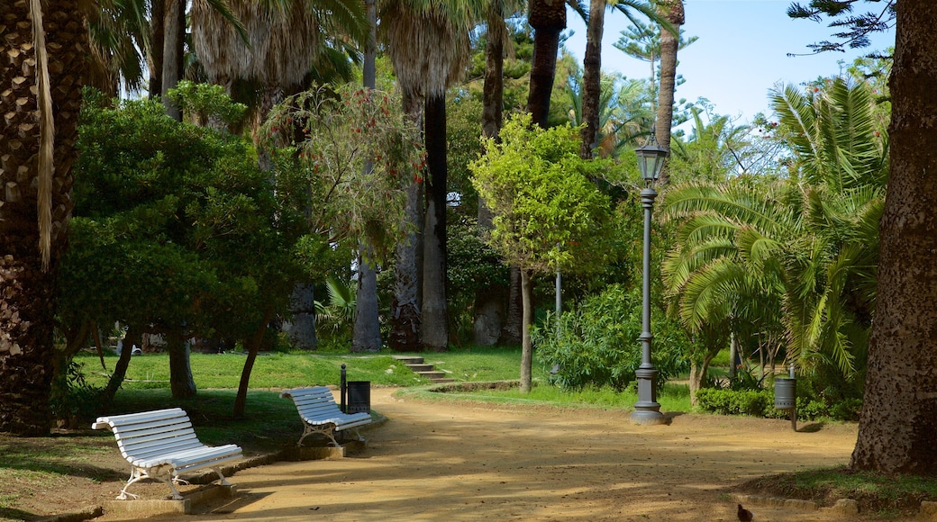 Cádiz que incluye un jardín