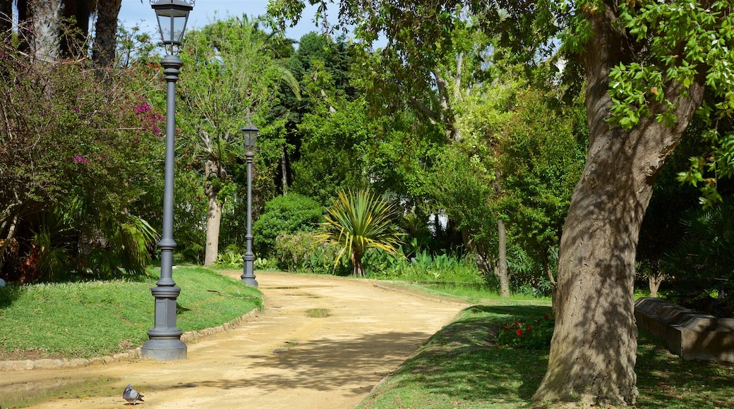 Cadiz showing a garden