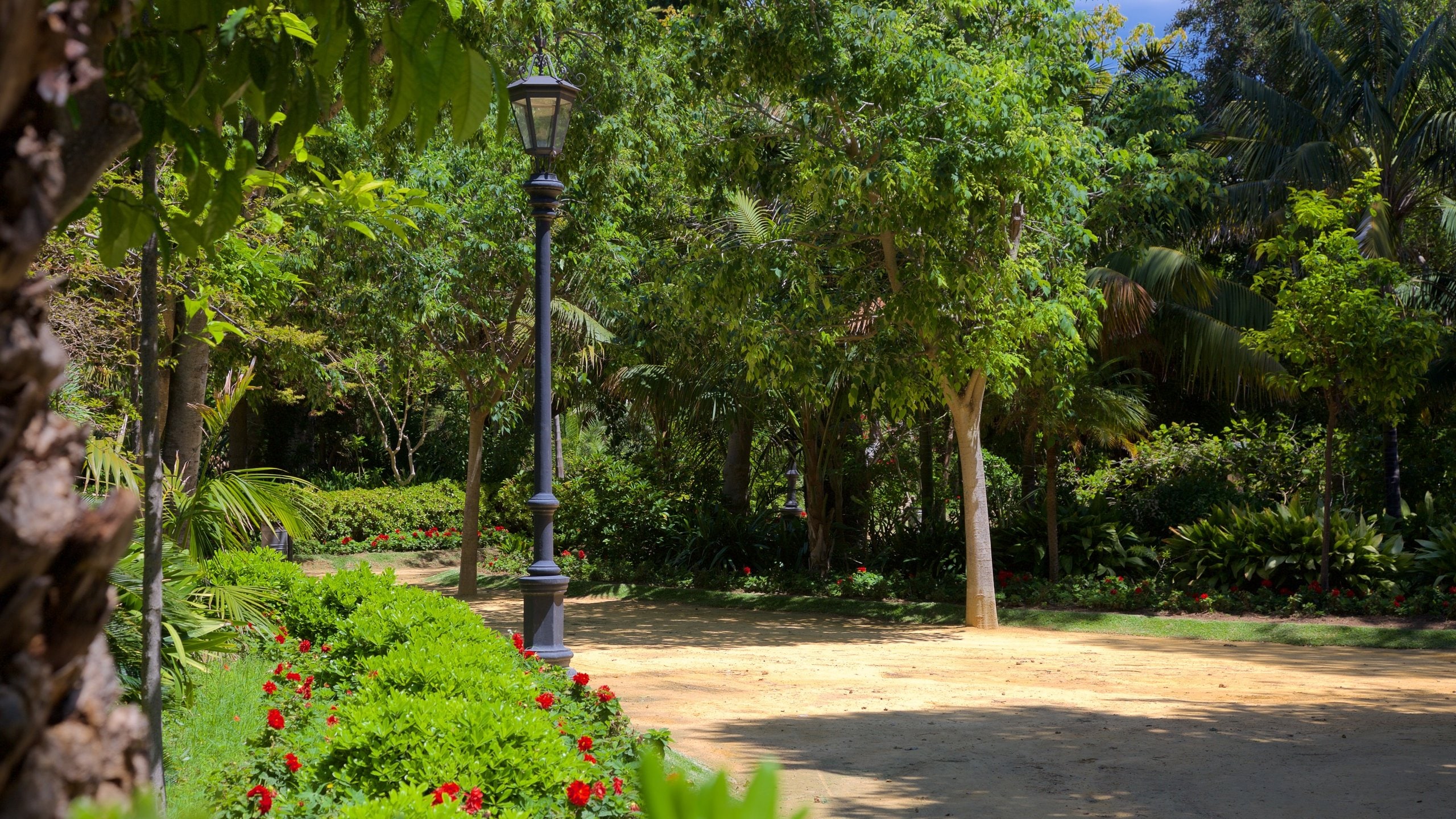 Old Town Cadiz, Cádiz holiday rentals houses & more Vrbo