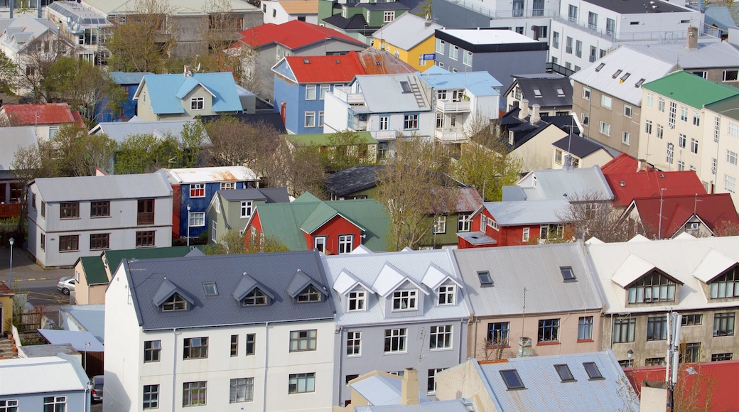 Reykjavik mostrando vista del paesaggio e piccola città o villaggio