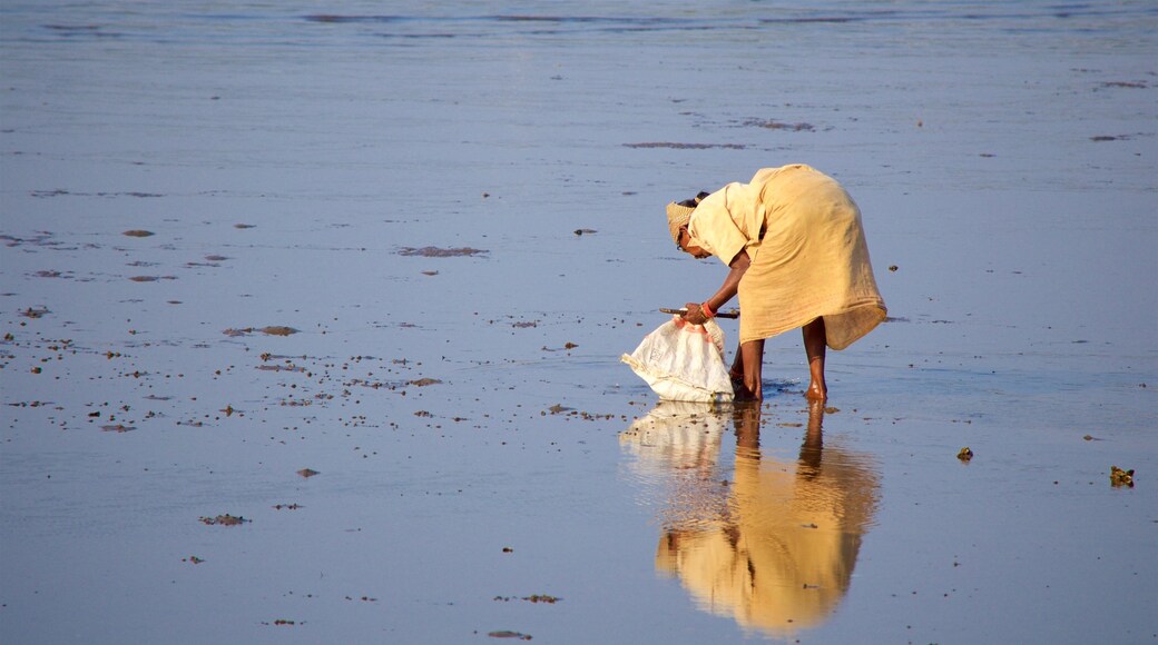 Panaji che include spiaggia sabbiosa cosi come ragazza