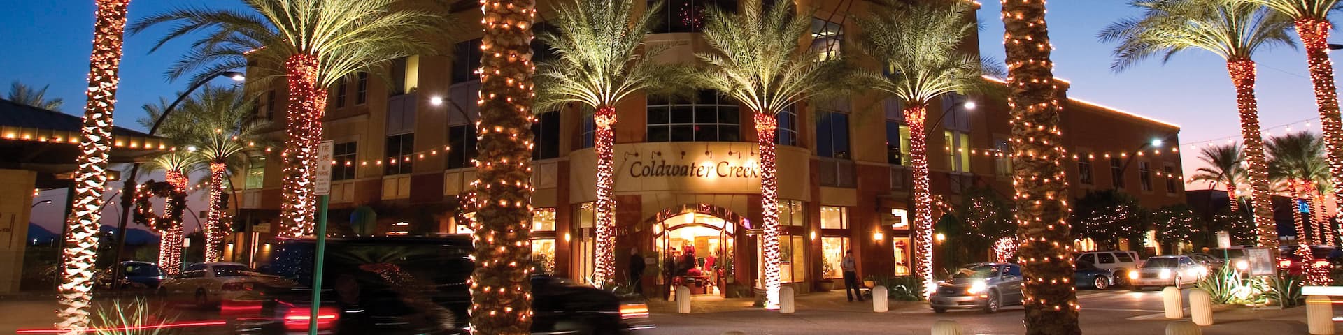 Scottsdale showing street scenes, night scenes and tropical scenes