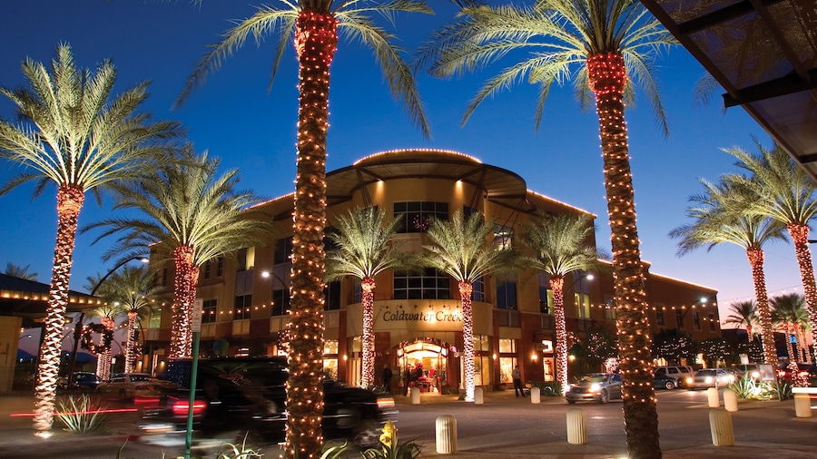 Scottsdale showing night scenes, tropical scenes and street scenes