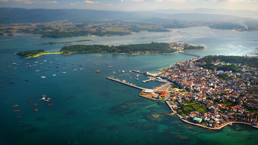 Pontevedra ofreciendo una ciudad costera y vista general a la costa