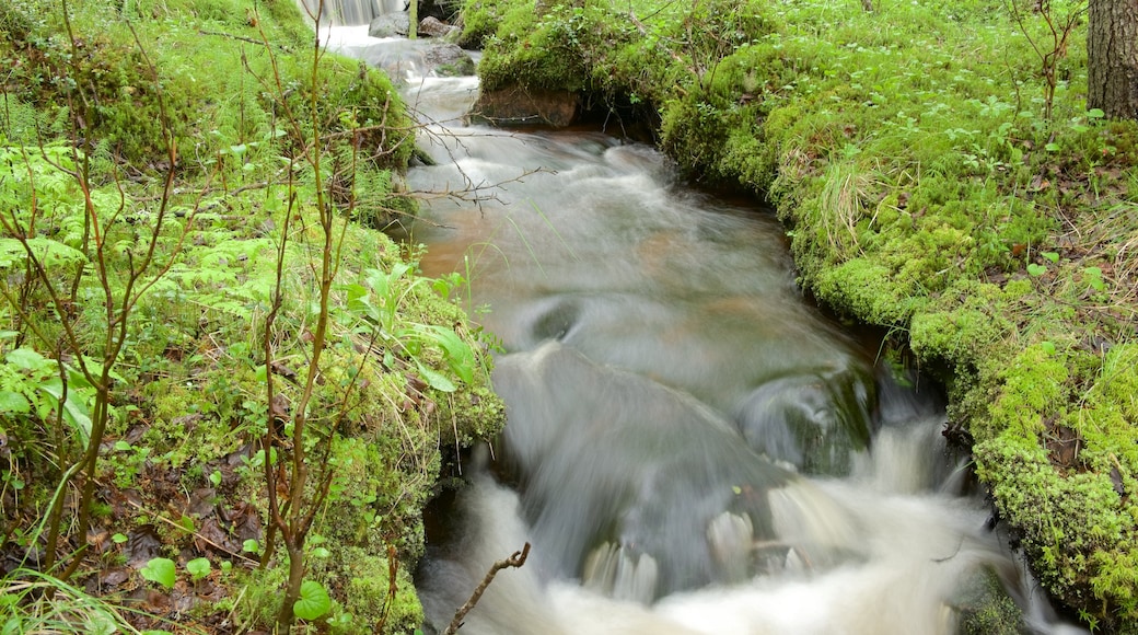 Akaslompolo bevat wetlands en een rivier of beek