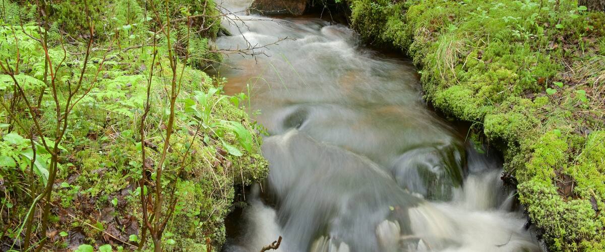 Akäslompolo montrant rivière ou ruisseau et zone humide
