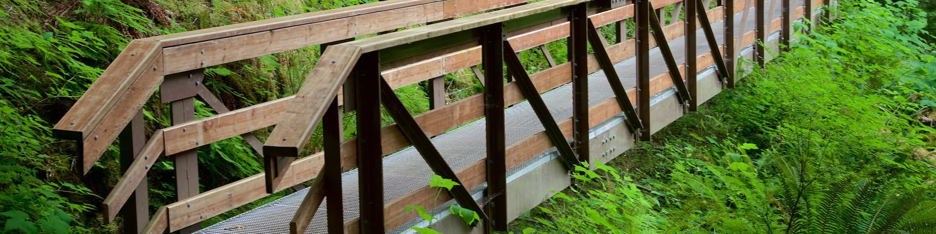 Horne Lake Caves Provincial Park qui includes un pont et paysages en forĂȘt