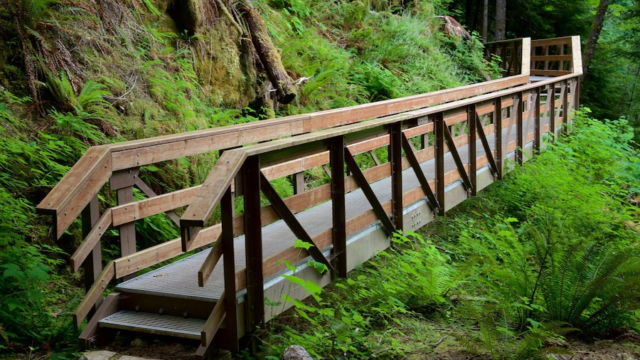Parque provincial de las Cuevas del Lago Horne