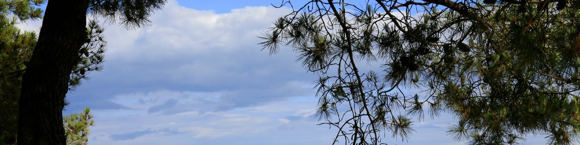 Carnac montrant plage
