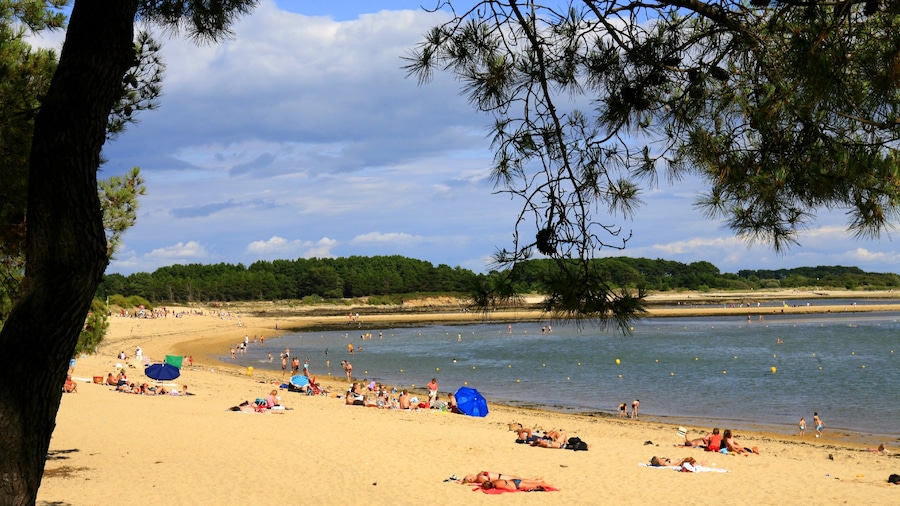 Carnac which includes a beach