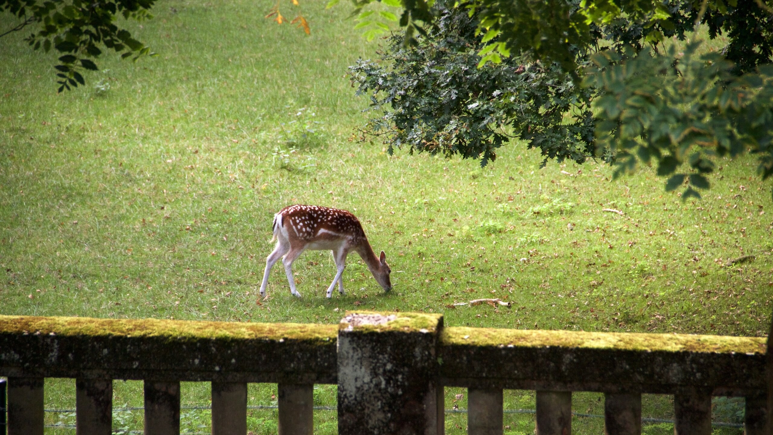 Dinan Agglomération