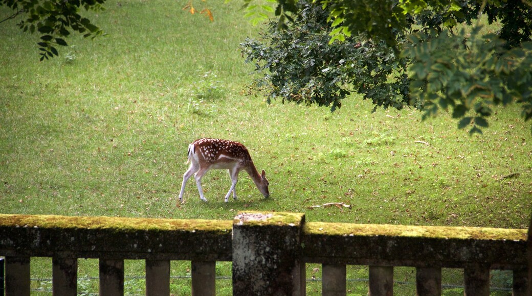 Dinan Agglomération