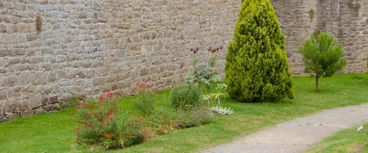 Chateau de Dinan featuring perintökohteet