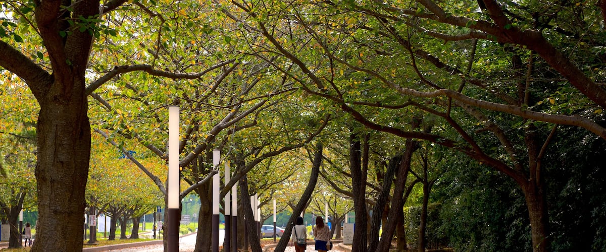 Fukuoka mettant en vedette randonnée ou marche à pied, couleurs d\'automne et jardin
