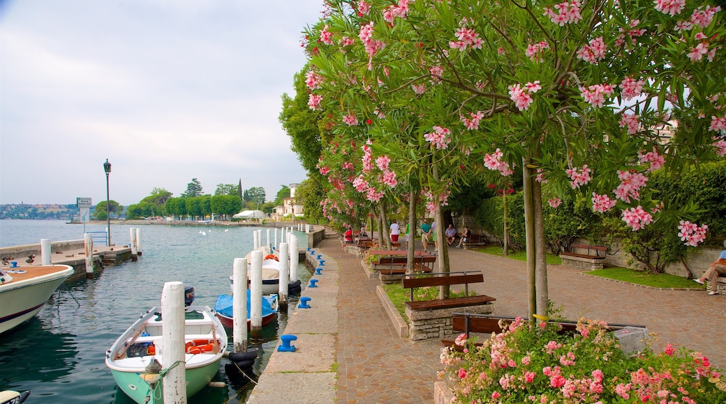 Gardone Riviera som inkluderer villblomster og bukt eller havn