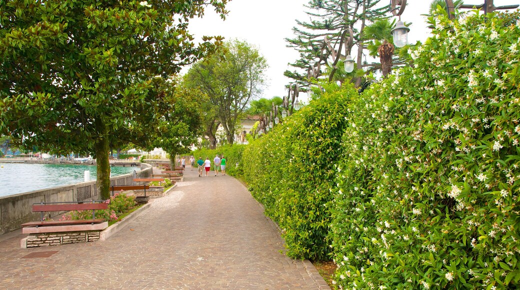 Gardone Riviera qui includes jardin, randonnée ou marche à pied et fleurs sauvages