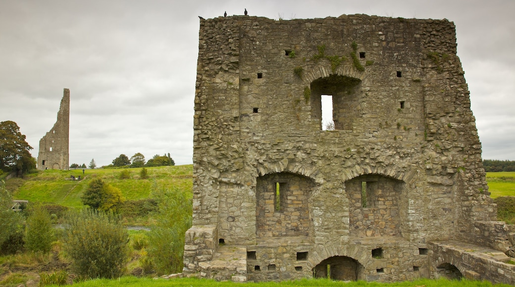 Reiseführer Trim 2024 das Beste in Trim entdecken Expedia.de