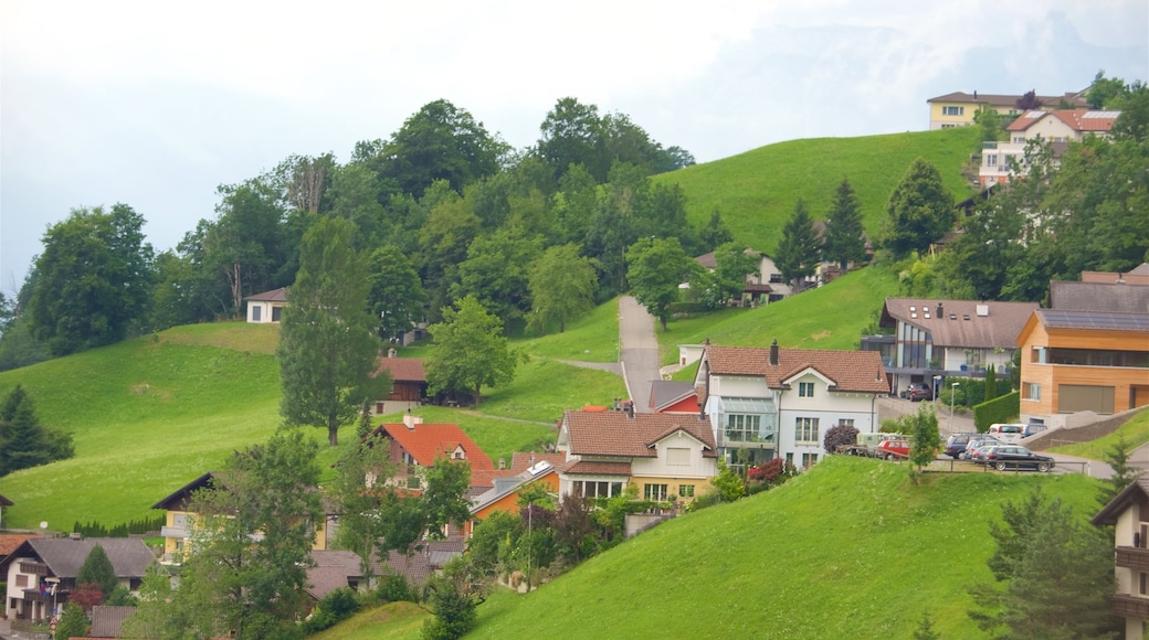 Liechtenstein che include piccola città o villaggio e paesaggi rilassanti