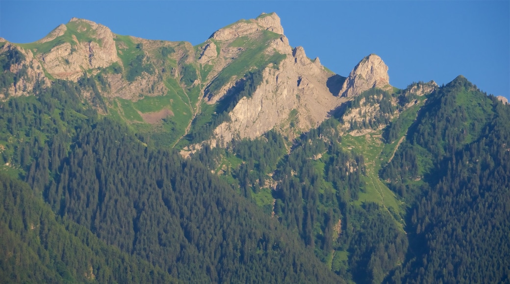 Liechtenstein som visar berg och stillsam natur