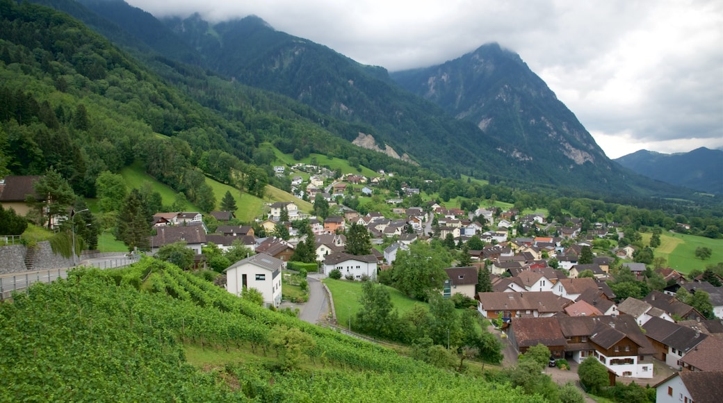 Liechtenstein que incluye una pequeña ciudad o aldea y escenas tranquilas