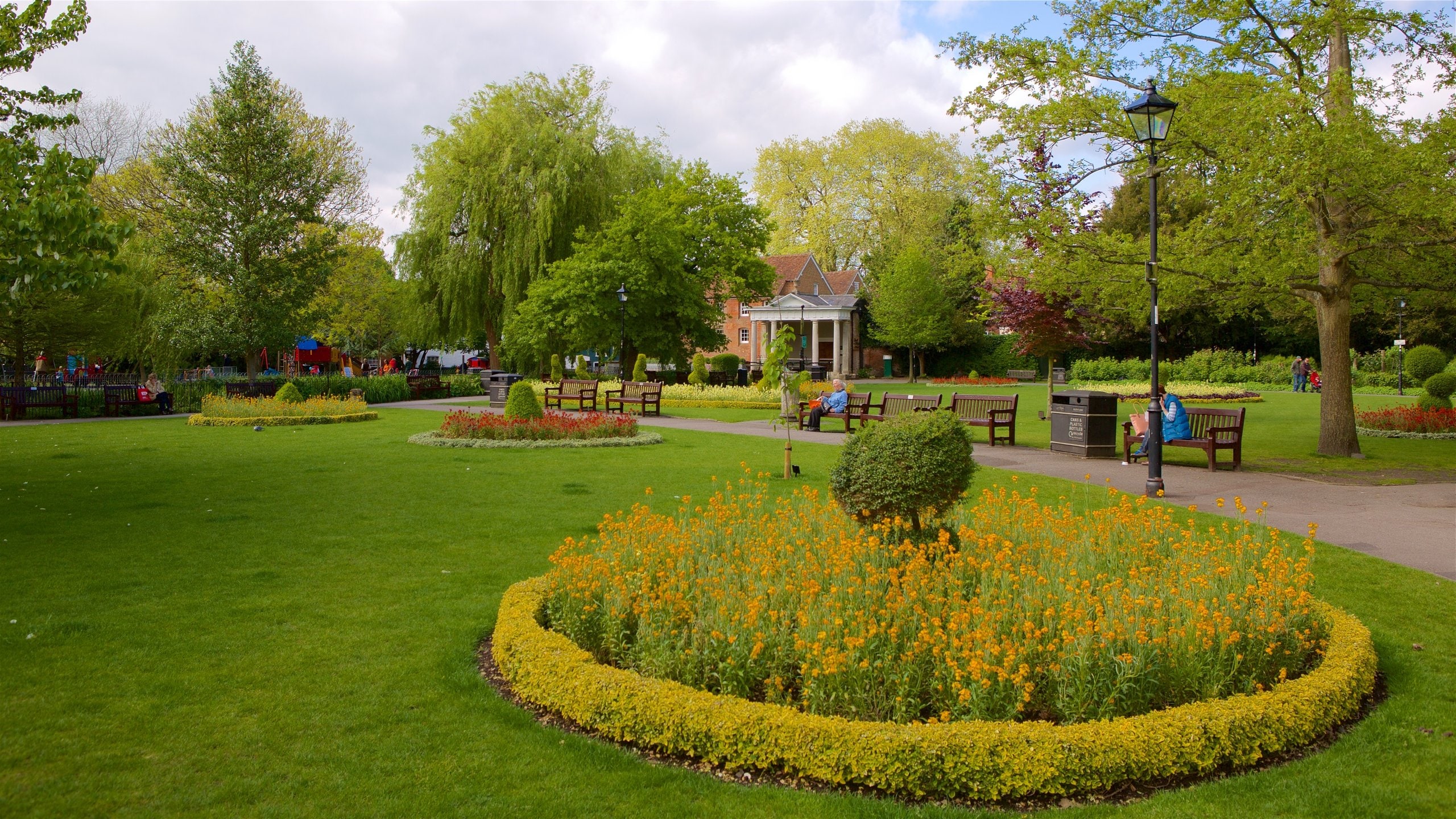 Hampshire som viser vilde blomster og en park