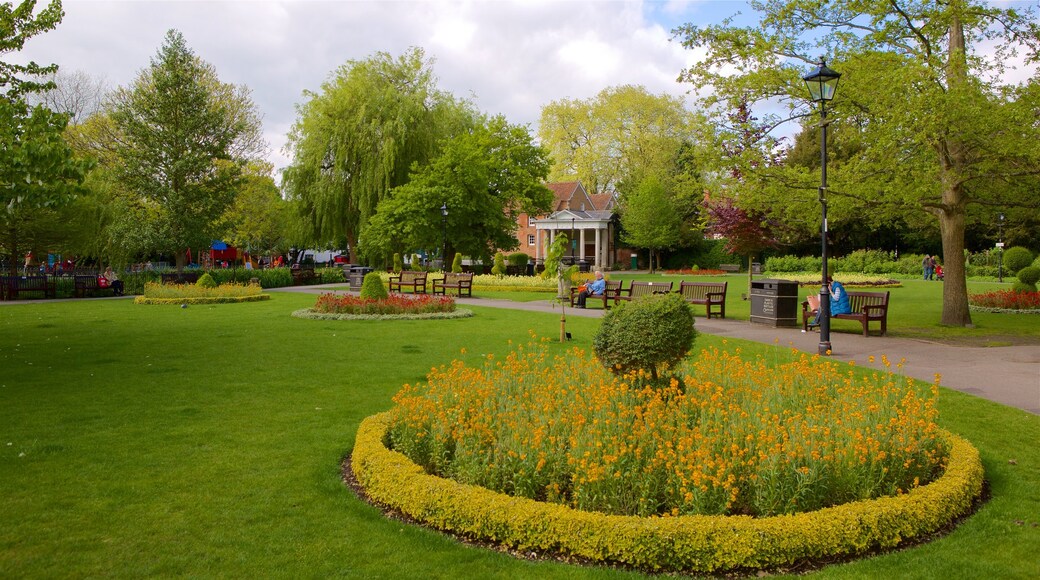 Hampshire mostrando flores silvestres e um parque