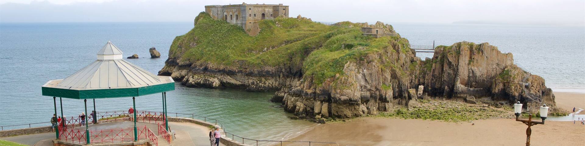Tenby showing rugged coastline, château or palace and views