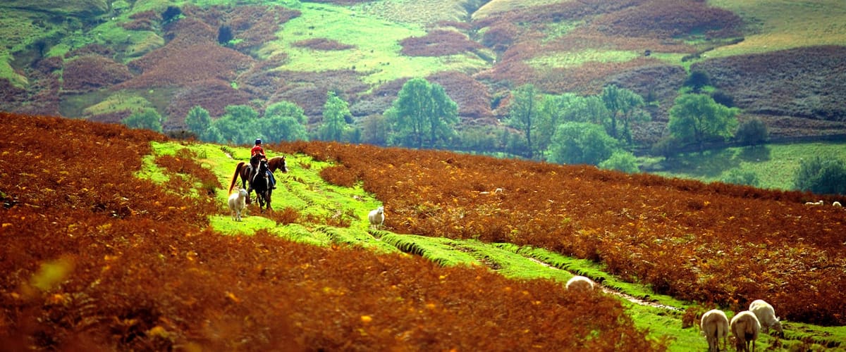 Powys which includes tranquil scenes, horseriding and farmland