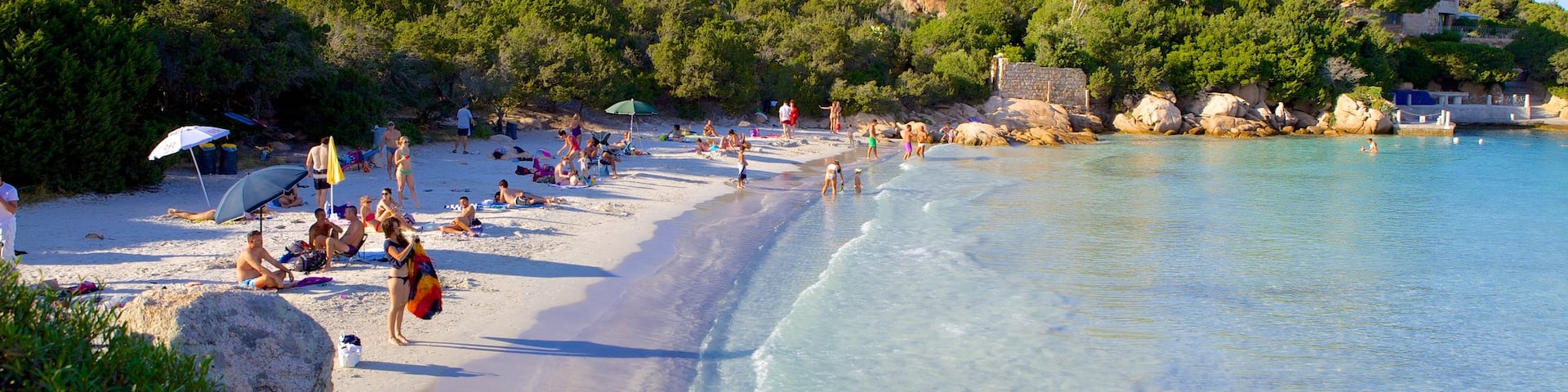 Capriccioli Beach which includes a sandy beach as well as a large group of people