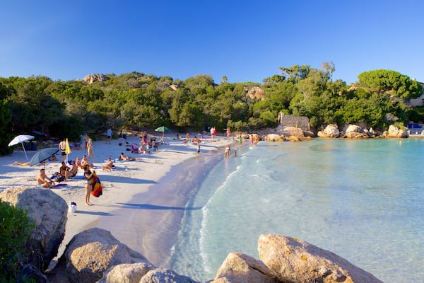 Plage de Capriccioli qui includes plage aussi bien que important groupe de personnes