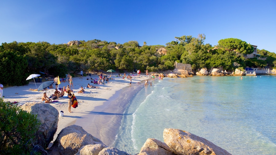 Playa Capriccioli que incluye una playa de arena y también un gran grupo de personas