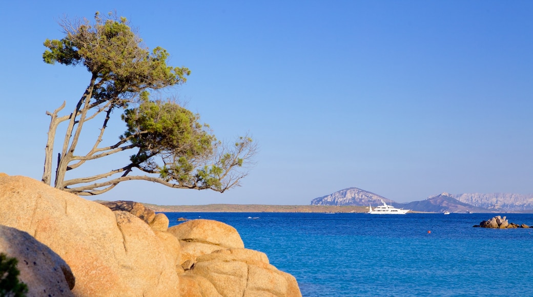 Spiaggia di Capriccioli che include vista della costa e costa rocciosa