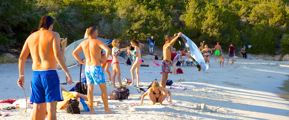 Capriccioli Beach showing a beach as well as a large group of people