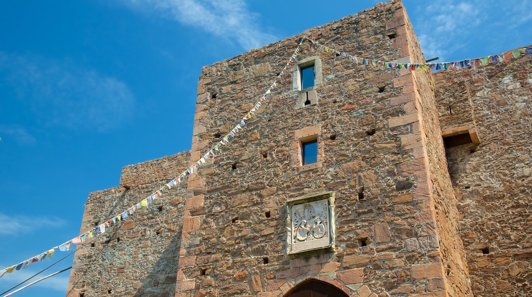 Castelo Firmiano mostrando um pequeno castelo ou palácio e elementos de patrimônio