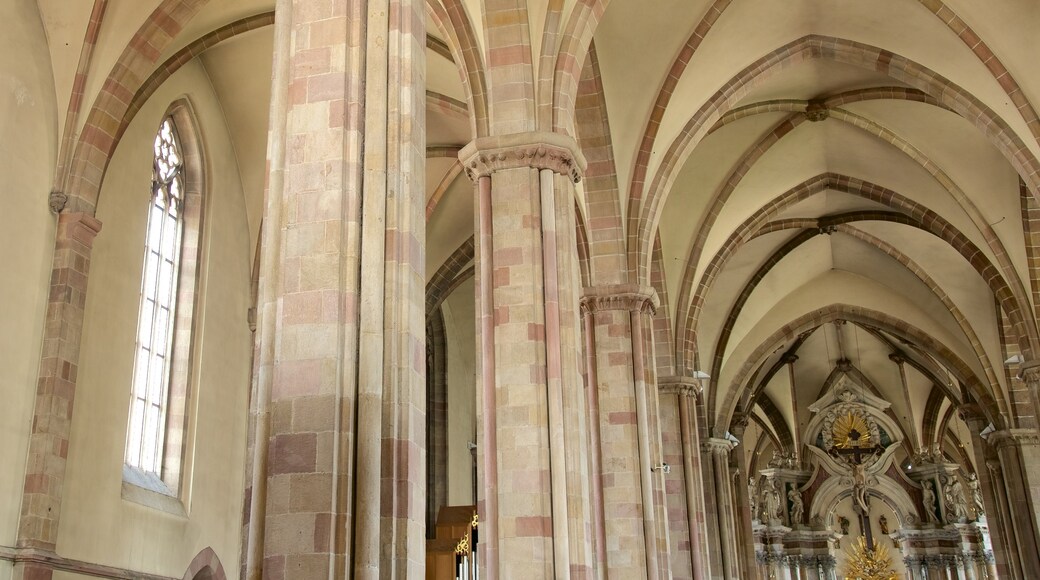 Catedral de Bolzano mostrando vista interna, arquitectura patrimonial y una iglesia o catedral