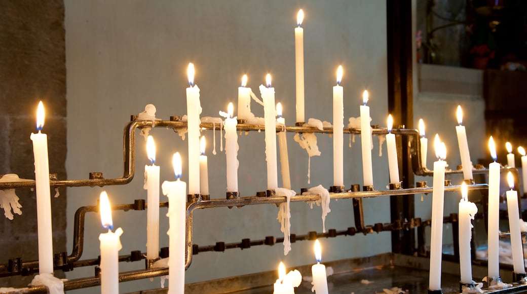 Cathedral of Bolzano featuring religious elements, a church or cathedral and interior views