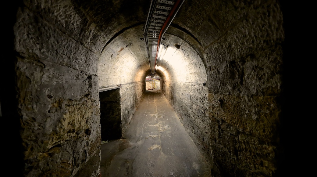 Cascade Brewery showing interior views and heritage elements