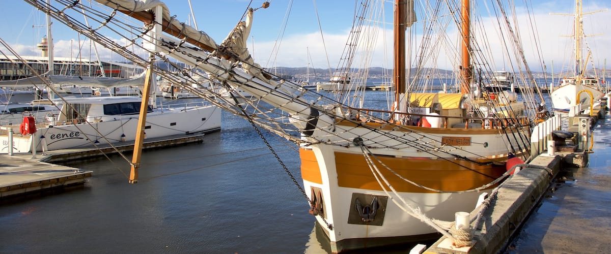 Hobart showing a marina