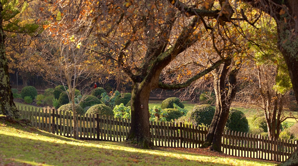 Port Arthur Historic Site showing autumn leaves and a garden