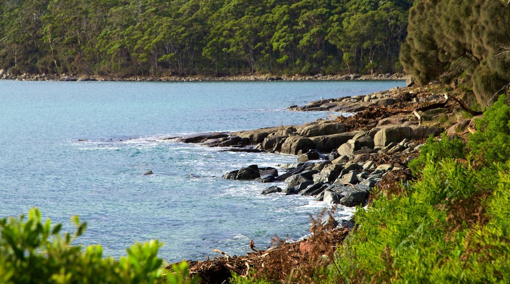 Tasman Peninsula featuring a bay or harbour, general coastal views and rugged coastline